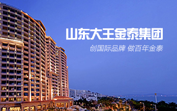 山东大王金泰集团